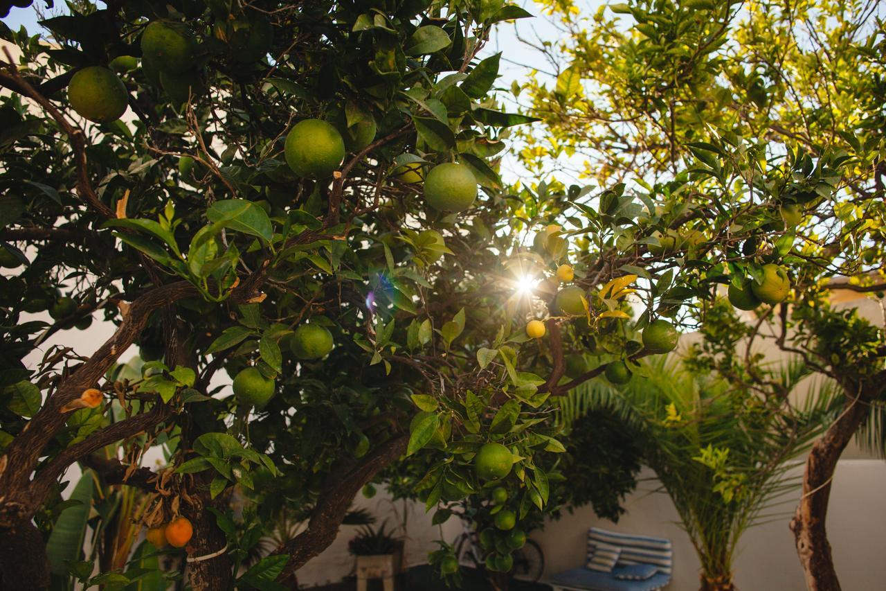 Albergue Orange3 *